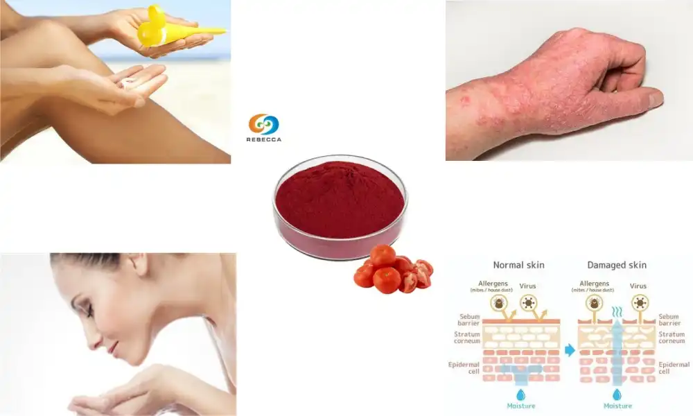 Anti-Aging Benefits of Lycopene Powder You Shouldn’t Miss